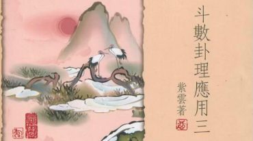 紫云卦理应用共3册