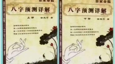 徐茂华八字预测详解上下册