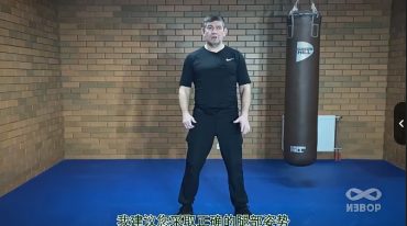 西斯特玛-米哈伊尔•格鲁德夫基础教程字幕版