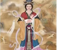 九天圣母十一期