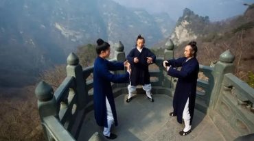 龙门天成三九合一功