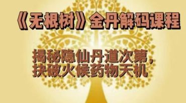 郭和仁无根树