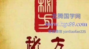 道家不传镇痛液