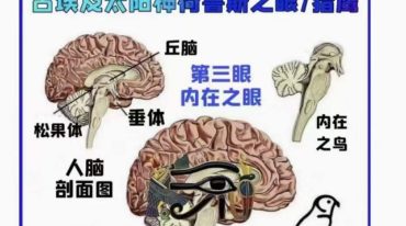 崔西&杰瑞-点亮第三眼学院