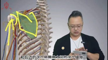 天医密码-手法秘籍104讲