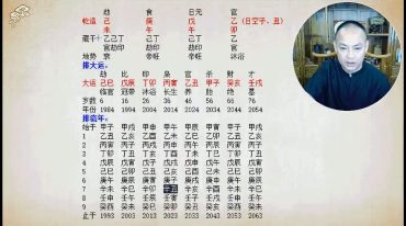 赵奕臻 子平之法精英篇高级