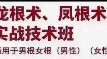 龙根术凤根术实战技术班
