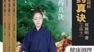 上药真诀
