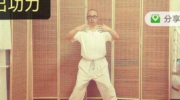 太极浮屠桩功入门课程