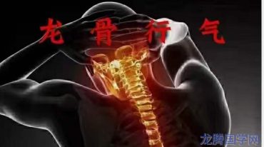 涂金盛龙骨行气
