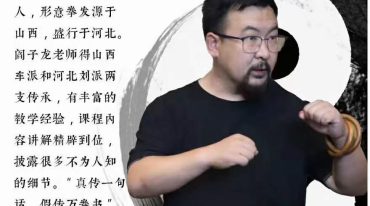 阎子龙 真‮形传‬意拳 全6讲视频课
