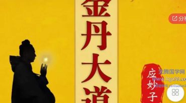杨信玄金丹大道 全91讲