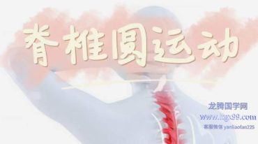 哲龙 脊椎圆运动