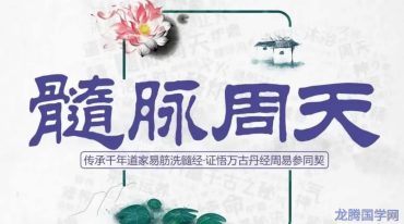 哲龙髓脉周天功