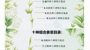 杨卓芸 十神组合象意笔记​​​​