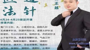 王越道医秘传针法民间绝技