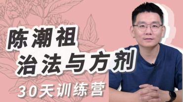 陈潮祖治法与方剂30天训练营