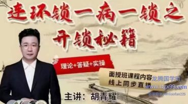 胡青耀连环锁一病一锁之临床秘笈技术精品