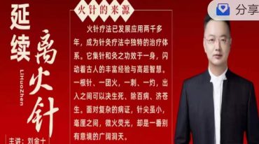 刘金十离火针33集视频