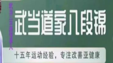 韩湘子 武当道家八段锦