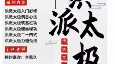 陈式洪派太极入门必修_洪派恩久太极