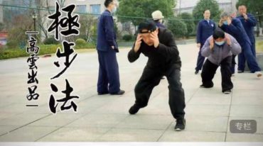 高云道太极【太极步法高云出品】