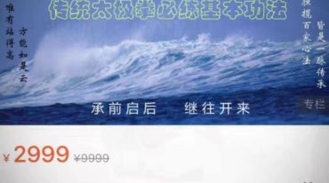 传统太极拳必练基本功 高云