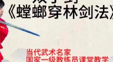 双手剑《螳螂穿林剑法》