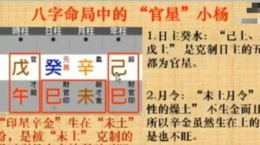 赖冠杨-八字命理全系列