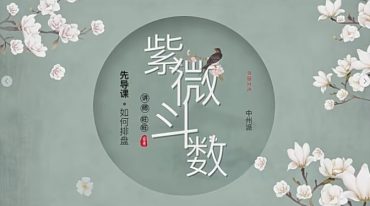 旺旺－中州派紫微课程