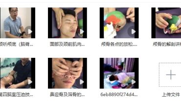 2019年颅骶疗法培训现场视频教程颅骶椎平衡术现场首发教学