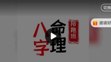 陈春林九纬洪运｜八字命理陪跑训练营