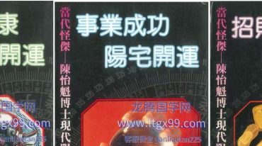 陈怡魁風水5本