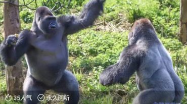 筋骨开发之“撕肩通背”