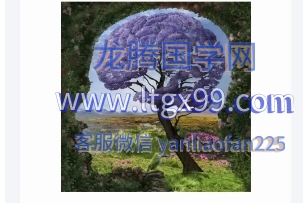 令东来紫微斗数星情课件(全套).pdf