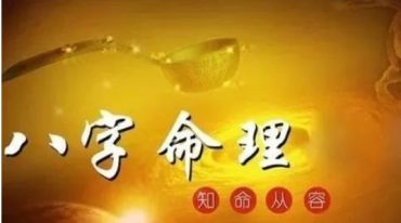 纳音八字21页