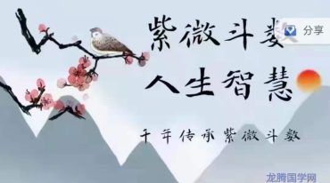 藏宫老师 紫微斗数人生智慧