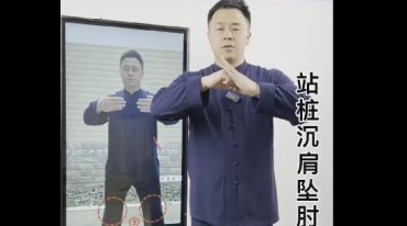 朱亚伦  陈氏太极拳传人亲授 逆龄站桩课 带你站出年轻态 赶走亚健康