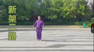 王灵霞 陈式太极拳新架二路纠正班武术套路精讲实战