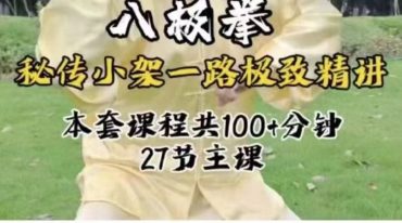 秘传八极拳小架一路极致精讲