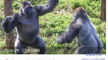 筋骨开发之“撕肩通背”