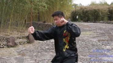 所敬彬形意拳母拳五行拳教学