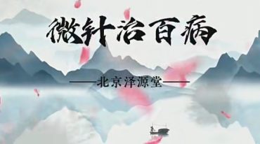 张云飞---微针治百病系列网课【带秘方完整版】