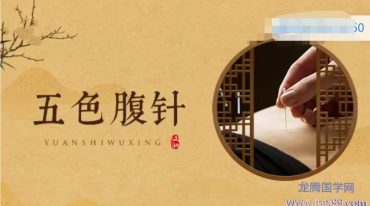 袁华---五色八卦腹针