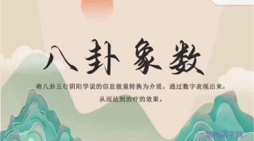 杨思坤--八卦象数系列网课