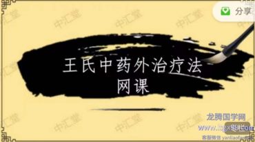 王东磊--王氏中药外治疗法独家秘传