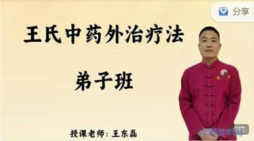 王东磊--面授系统课-王氏中药外治疗法