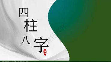郅朔《八字命理学》45集