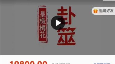 卦筮｜2024年皇极梅花三驾马车【原版】