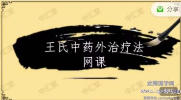王氏中药外治疗法200网课5讲